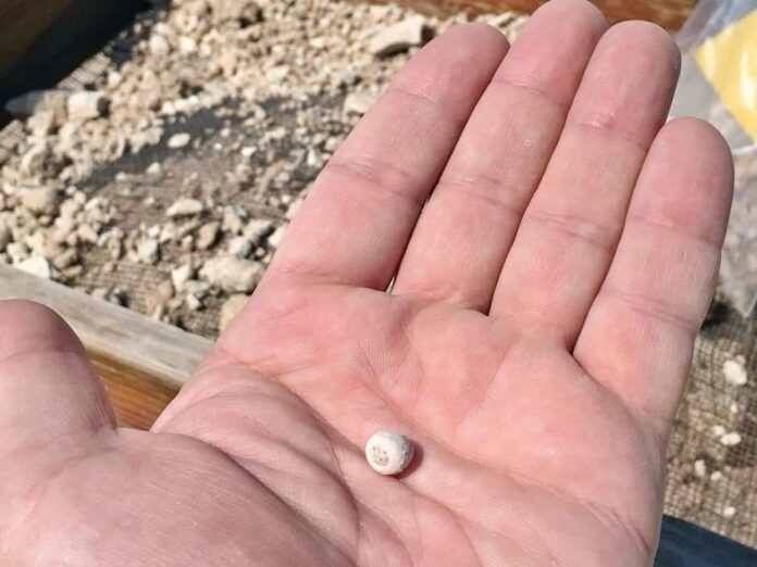 Qatar: Archaeologists find over 6500-yr-old pearl bead