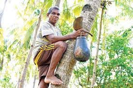 Man returns to his roots as a toddy tapper after losing his job in Kuwait