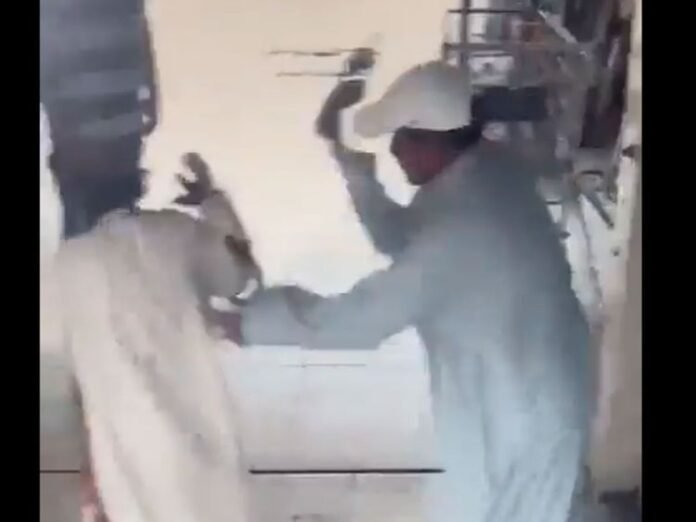 Outrage over attack on old man in Kuwait