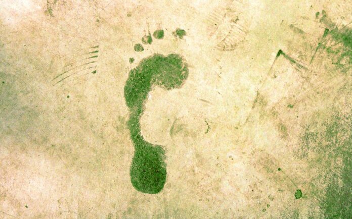 'Our Planet, Our Health' :World Health Day