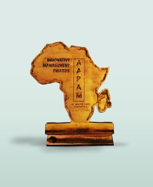Egyptian Post wins innovation award 'Aapam' at African Union of Public Administration Conference (image credits Facebook)