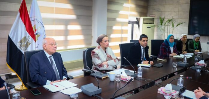 Egypt: Minister Dr Yasmin Fouad issues statement on environmental investment