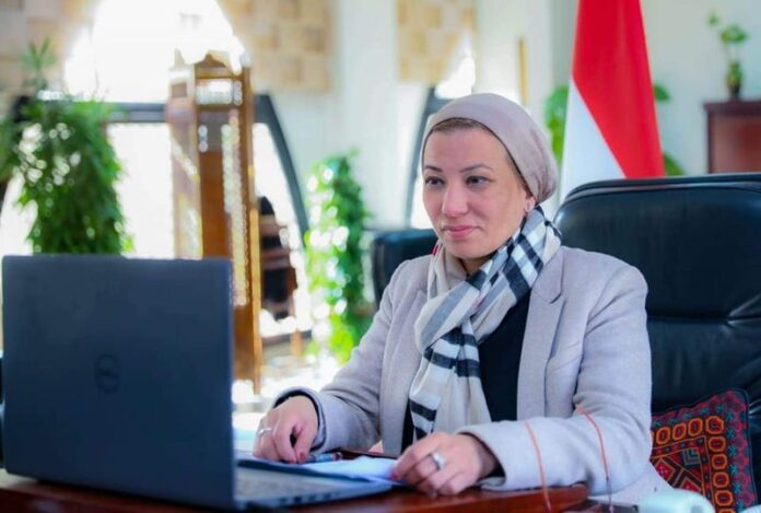 Egypt: EM Yasmin Fouad attends virtual conference on Egyptian-African Entrepreneurs projects