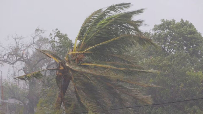 PM Modi expresses sorrow over deaths caused by Cyclone Freddy in Mozambique, Madagascar, Malawi