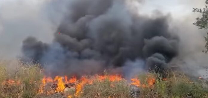 Israel: Incautious airsoft play turns deadly, causing wildfire in Zikim and Karmia 