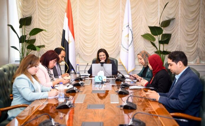 Minister Soha Gendi hosts video meet with Egyptian youth in India and Pakistan 