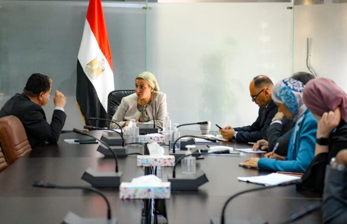 Minister Yasmin Fouad holds high-level talks on Egypt's environmental challenges