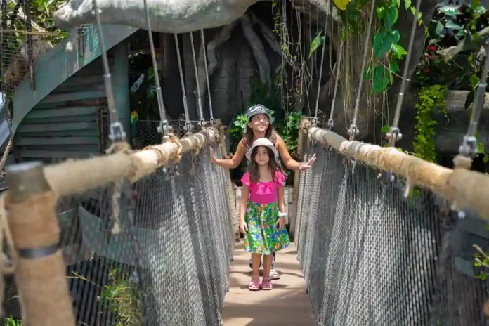 The Green Planet, renowned for its immersive rainforest experience, has reopened its overnight camping experience, offering families a chance to sleep under the indoor canopy