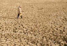 Climate Change Disrupts Farming Rhythms as Iraqi Villages Struggle to Adapt Farmers in Iraq’s Ninewa province adopt climate-smart agriculture techniques to combat drought, conserve water, and sustain crop production amid changing weather conditions