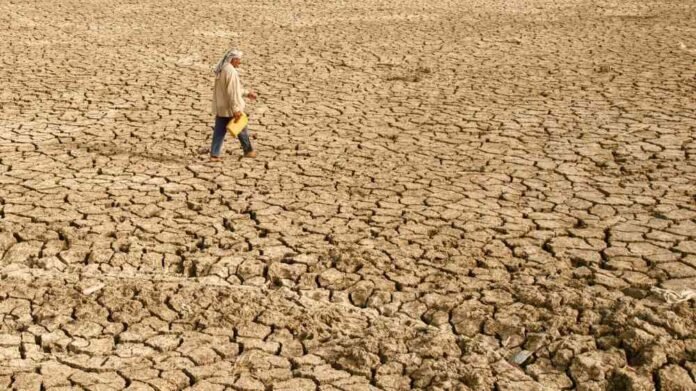 Farmers in Iraq’s Ninewa province adopt climate-smart agriculture techniques to combat drought, conserve water, and sustain crop production amid changing weather conditions